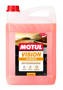 MOTUL VISION SUMMER 5 л 107789 фото