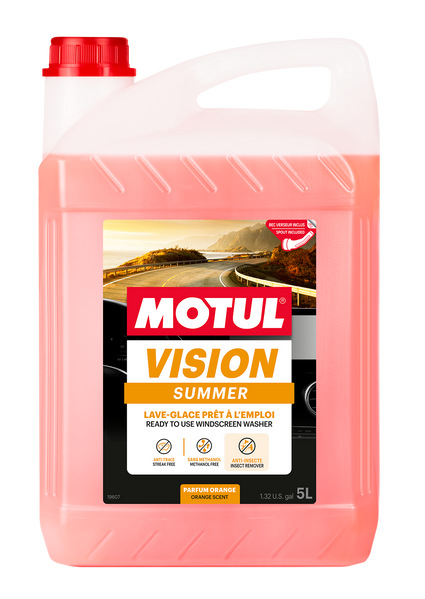 MOTUL VISION SUMMER 5 л 107789 фото